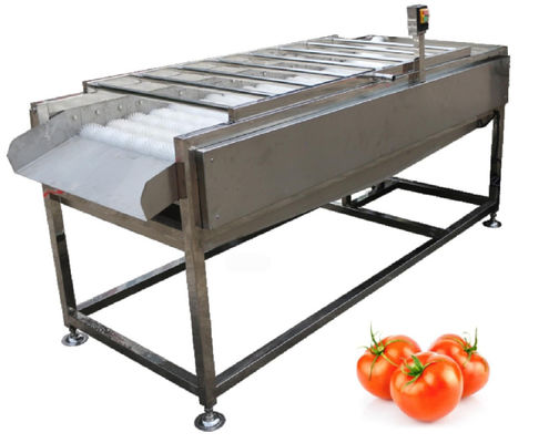 оборудование завода по обработке еды 500kg/h, шайба щетки плода овоща
