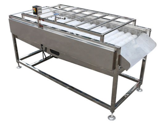 оборудование завода по обработке еды 500kg/h, шайба щетки плода овоща
